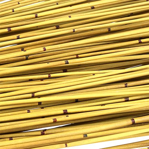 Floristik24 Vlei Reed 400g yellow