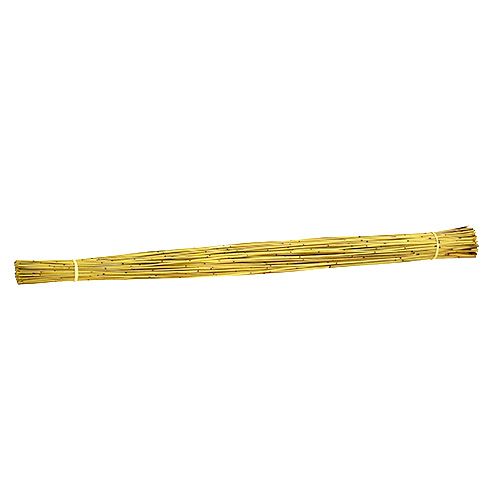 Floristik24 Vlei Reed 400g yellow