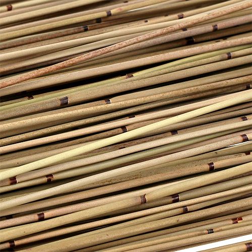 Floristik24 Vlei Reed 400g natural