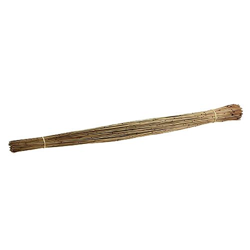 Floristik24 Vlei Reed 400g natural
