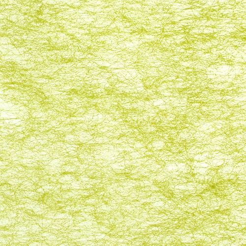 Floristik24 Fleece olive green 23cm 25m