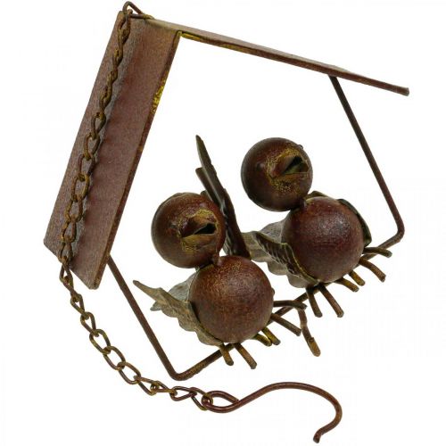 Floristik24 Deco birds for hanging rust deco metal brown 14.5×16cm