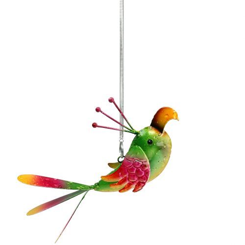 Floristik24 Bird to hang green, pink, orange 18.5cm