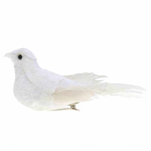 Floristik24 Dove flocked with feathers and clip white 13.5cm 4pcs
