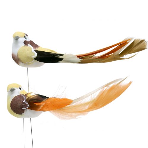 Floristik24 Bird on wire brown / orange 14cm 12pcs