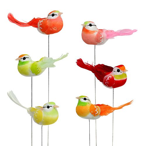 Floristik24 Bird 8cm assorted colors 12pcs