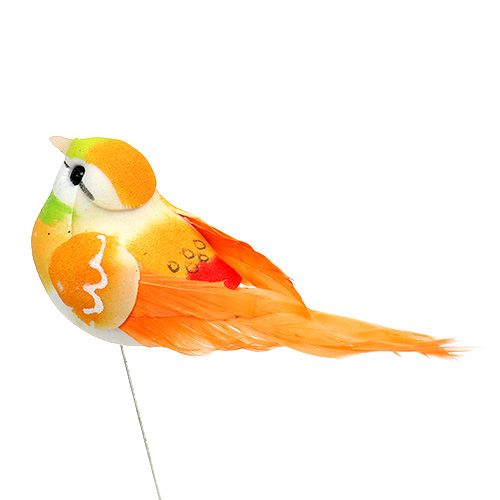 Floristik24 Bird 8cm assorted colors 12pcs