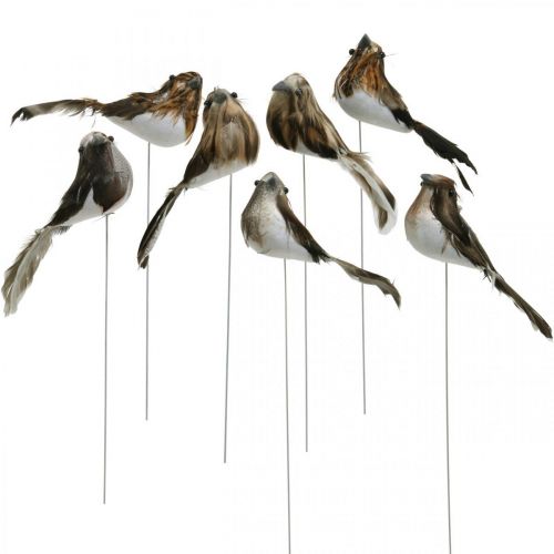 Floristik24 Spring, bird on wire, flower decoration white, natural colors H4.5cm 12 pcs