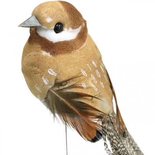 Product Spring, bird on wire, deco birds natural colors H7.5cm 12pcs