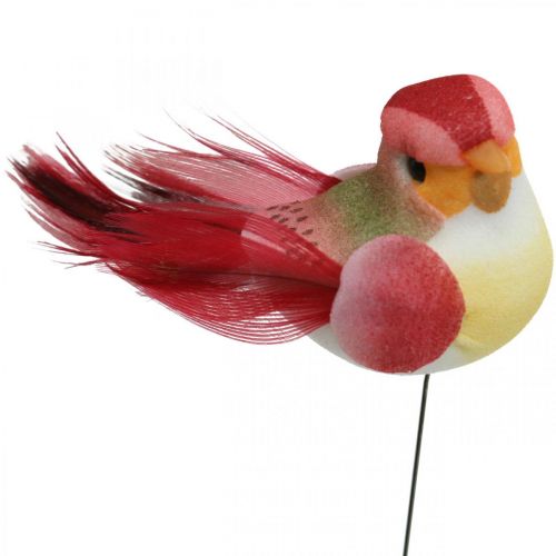 Floristik24 Spring, bird on wire, colorful flower plugs H2.5cm 24pcs