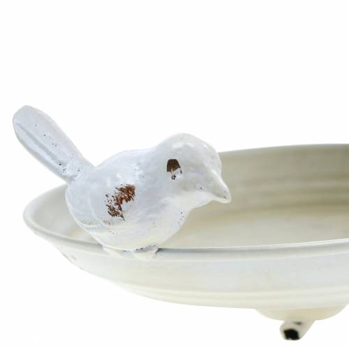 Floristik24 Bird feeder to hang metal cream, grate Ø21cm H27cm
