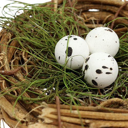 Floristik24 Bird's nest with eggs Ø9cm 6pcs