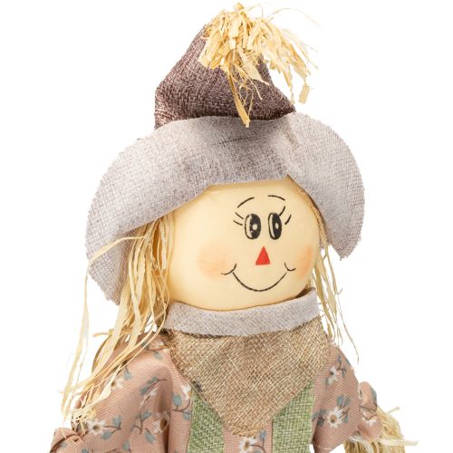 Product Scarecrow on stick flower plug green blue H45/68cm 4 pcs