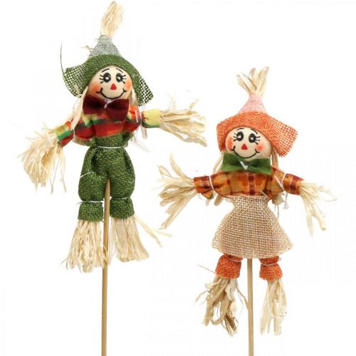 Floristik24 Scarecrow to decorate on stick autumn decoration 24 pcs