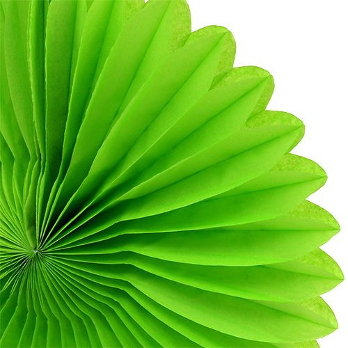 Floristik24 Honeycomb paper flower green Ø20cm 3pcs