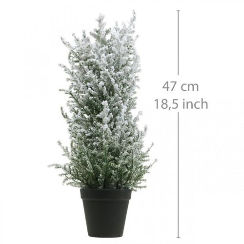 Product Artificial juniper in a pot snowed artificial plant H47cm