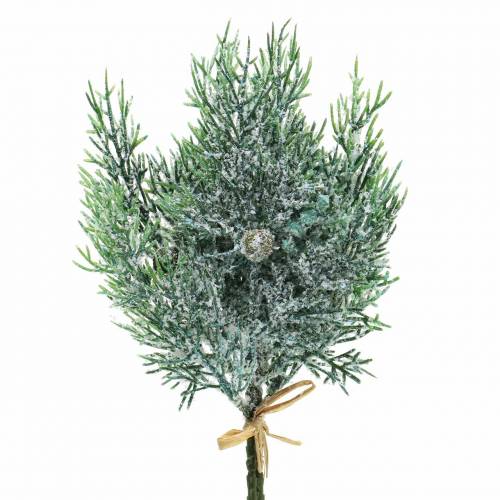 Floristik24 Decorative branch juniper with cones green-iced, blue washed 25cm 2 pcs.