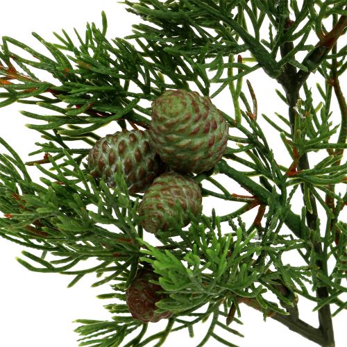 Floristik24 Juniper branch with cones green 39cm 3pcs