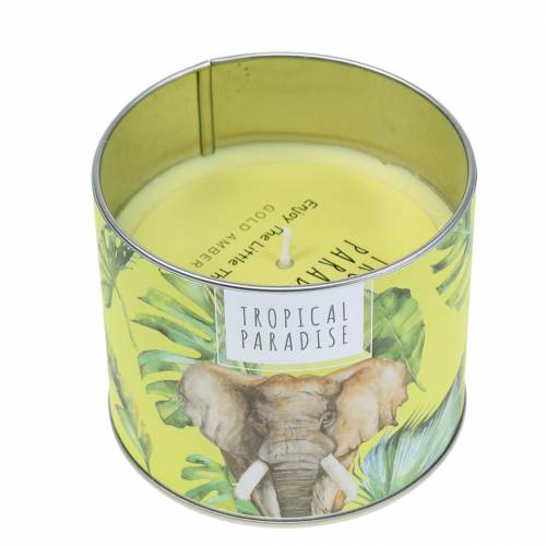 Floristik24 Scented candle in the box rainforest yellow Ø9.5cm H8cm