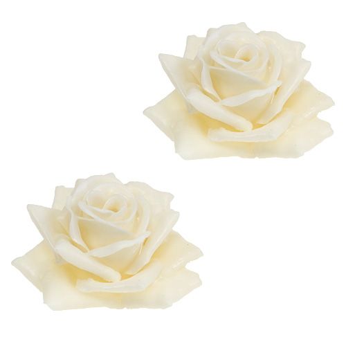 Floristik24 Wax rose Ø10cm cream 6pcs