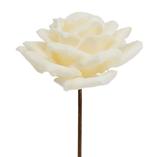 Floristik24 Wax rose Ø10cm cream 6pcs