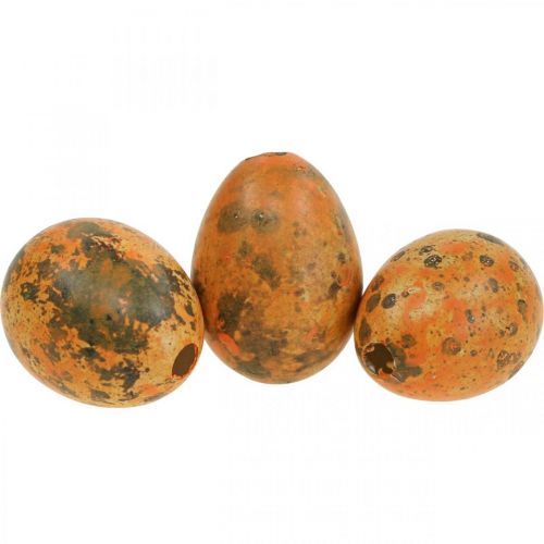 Quail Eggs Deco Blown Eggs Orange Apricot 3cm 50p