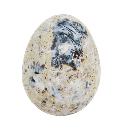 Product Quail Eggs White Marbled 3.5cm - 4cm 50 pcs