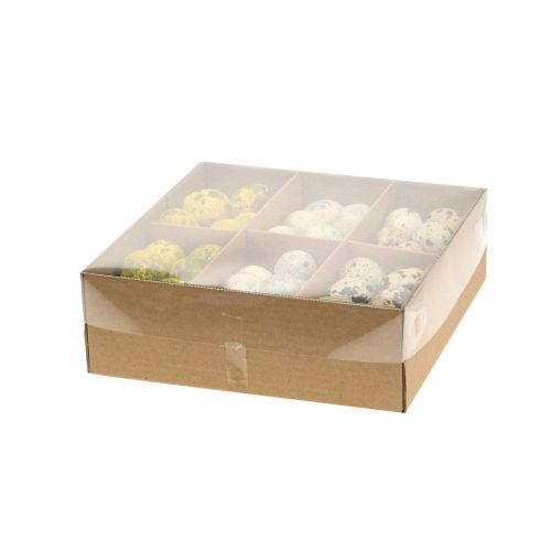 Floristik24 Quail eggs assortment yellow, natural 3cm 62pcs