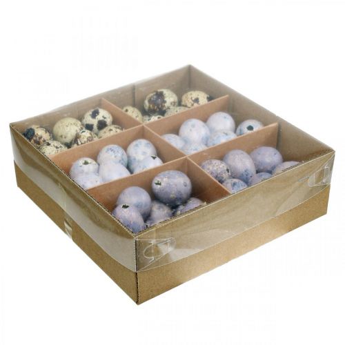 Floristik24 Quail egg mix purple, violet, nature empty eggs as decoration 3cm 65p