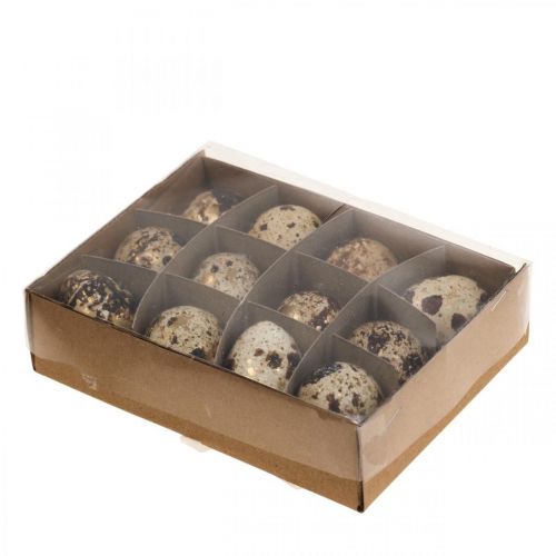 Floristik24 Quail Eggs Deco Blown Eggs Nature/Gold 3cm 12pcs