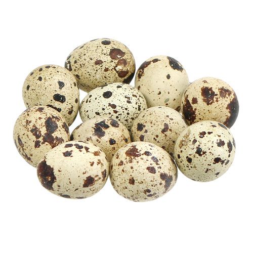 Floristik24 Quail eggs nature 3-3.5cm 12pcs