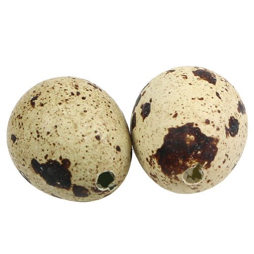 Floristik24 Quail eggs nature 3-3.5cm 12pcs