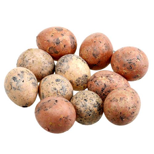 Floristik24 Quail eggs pink assorted 3cm 12pcs
