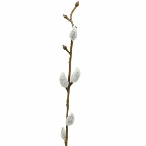 Floristik24 Pussy willow bunch L54cm 3pcs