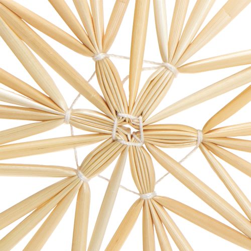 Floristik24 Christmas straw stars Christmas tree decorations 8cm 12 pieces