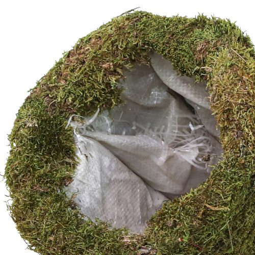 Product Christmas tree moss tree decoration in green natural Ø25cm H70cm