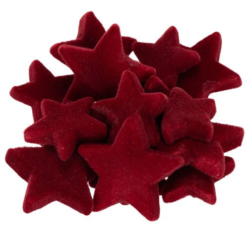 Christmas decorations, stars, Bordeaux flocked, table decoration, 4-5cm, 40 pieces buy online | Floristik24.ie