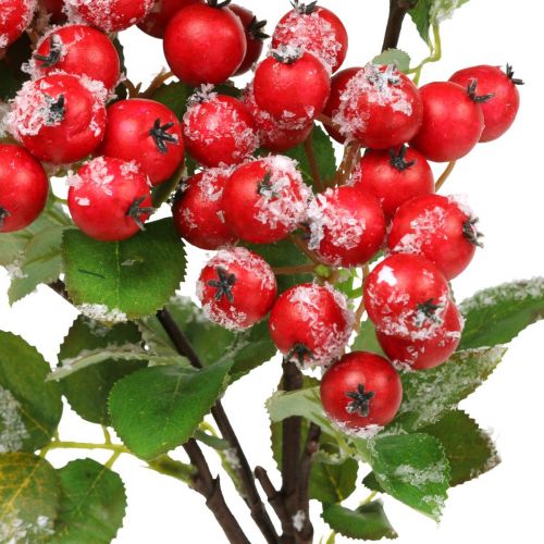 Floristik24 Christmas branches with red berries, winter decoration, harpberry red snowed L58cm