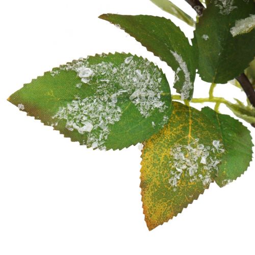 Floristik24 Christmas branches with red berries, winter decoration, harpberry red snowed L58cm