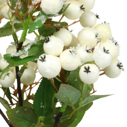 Floristik24 Christmas branches, snowberry, artificial plant snowed L58cm