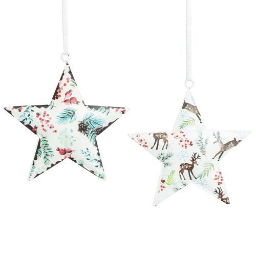 Product Christmas ornaments: star, deer, pine branches, berries, Ø8cm, set of 6 decorative hangers, Christmas tree ornaments