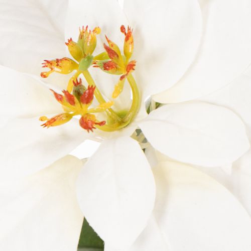 Artificial poinsettia, white, large bloom, decorative plant, 40cm | Floristik24.ie