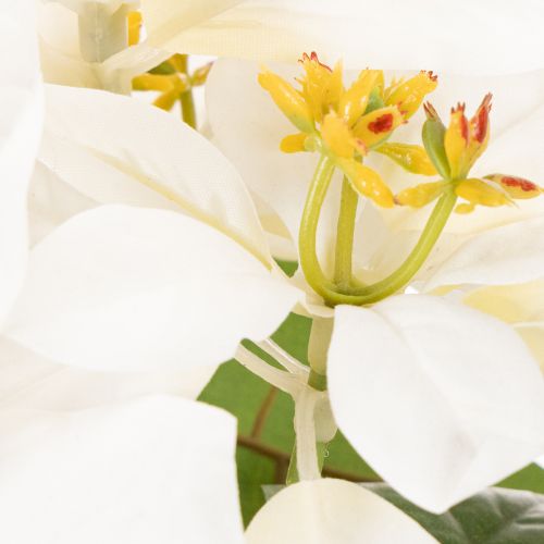 Artificial poinsettia, white, large bloom, decorative plant, 40cm | Floristik24.ie