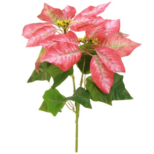 Product Poinsettia Artificial Red Pink L35cm 6pcs 2 bunch
