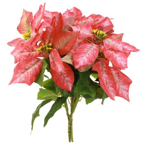 Product Poinsettia Artificial Red Pink L35cm 6pcs 2 bunch