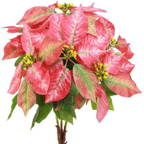 Poinsettia Red Pink Artificial Poinsettia L53cm