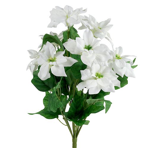 Product Poinsettia bouquet white L45cm