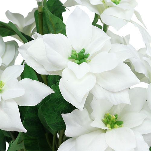 Product Poinsettia bouquet white L45cm
