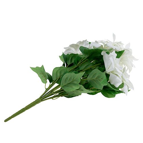 Floristik24 Poinsettia bouquet white L45cm