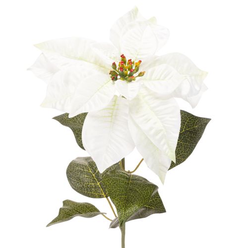 Artificial white poinsettia, large flowering branch decoration, 65cm, 2 pieces buy online | Floristik24.ie